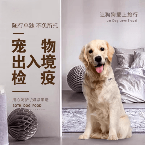 广安市宠物托运到哥伦比亚猫狗宠物入境规定和