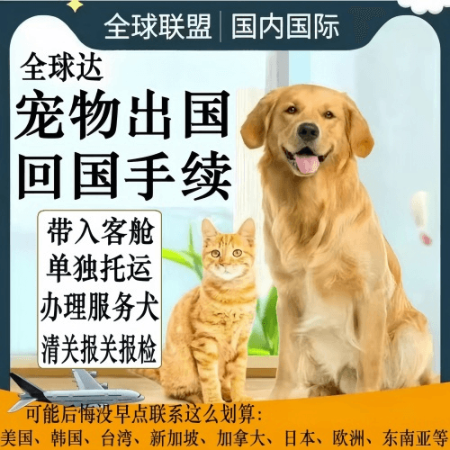 广安市宠物托运到柬埔寨宠物入境规定和要求