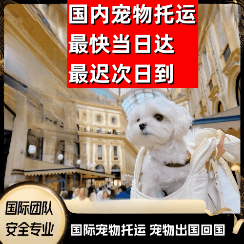 广安市到澳大利亚（澳洲）宠物入境规定和要求