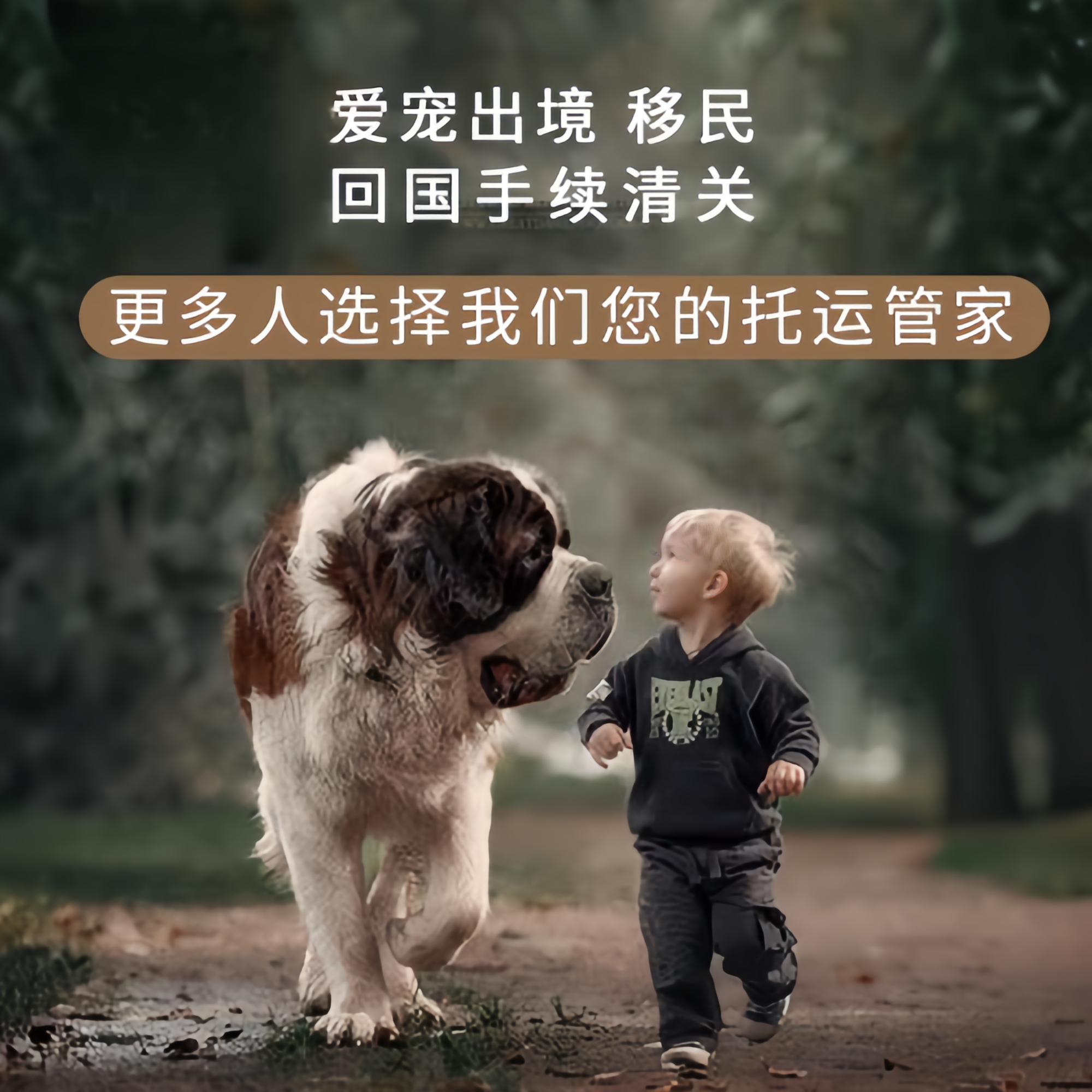 满财广安市宠物全球达宠物托运在遵守入境目的地政策的条件