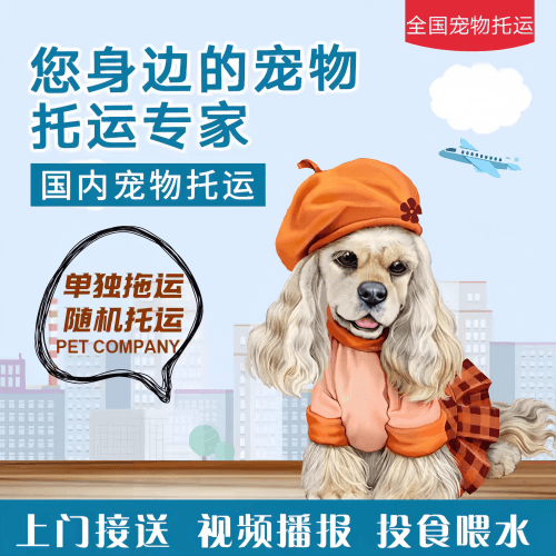 满财广安市宠物全球达宠物托运作为专业的宠物运输代理机构